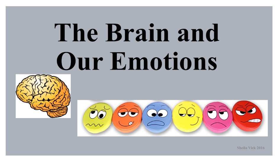 Brain and teacher. Social Emotional Learning. Big Brain. Little brain