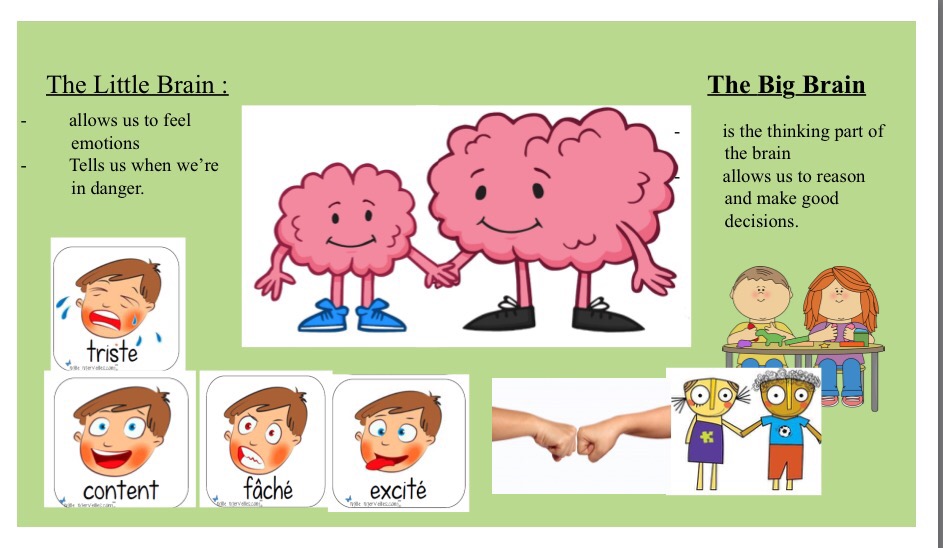 parts of the brain for kids